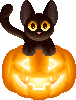 a black cat sitting inside a glowing jack'o'lantern