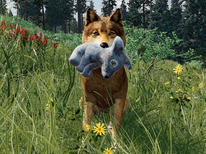 a screenshot of Maize, a blonde wolf, in WolfQuest