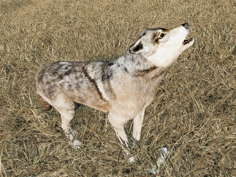 screenshot of SteveFour