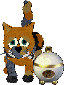 Topline, a calico cat, looking sad next to her music box